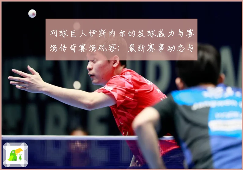 网球巨人伊斯内尔的发球威力与赛场传奇赛场观察：最新赛事动态与深度分析